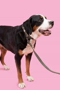 Load image into Gallery viewer, Eco-friendly dog collar and leash made from recycled ocean plastic