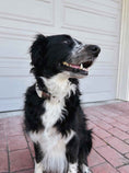 Load image into Gallery viewer, OFF-WHITE - RECYCLED OCEAN PLASTIC DOG LEASH - ECO-FRIENDLY
