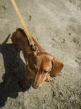 Load image into Gallery viewer, THE PINYA COLLECTION - GOLD PINEAPPLE LEATHER DOG LEASH – VEGAN & ECO-FRIENDLY
