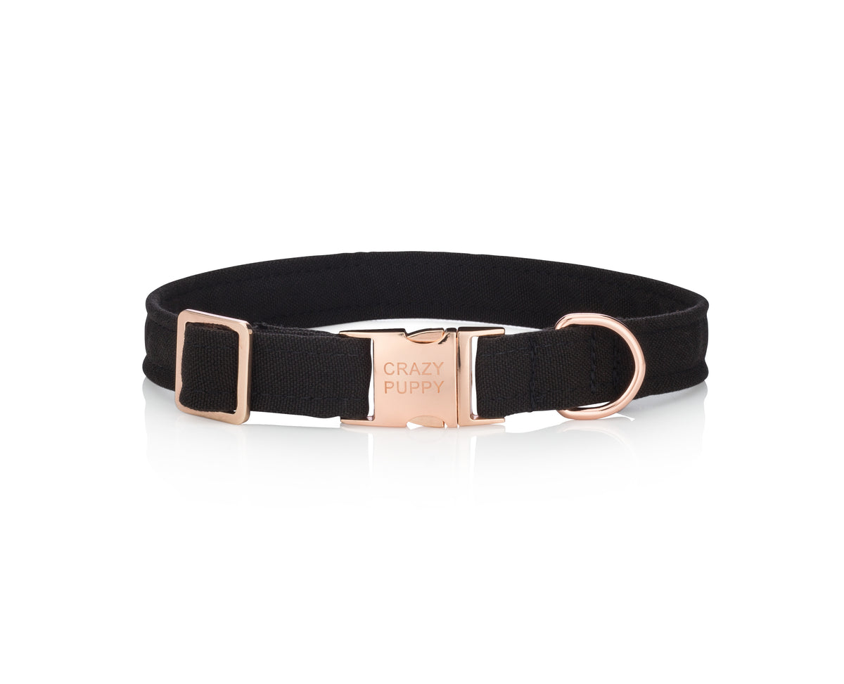 Eco-friendly dog collar made from recycled ocean plastic