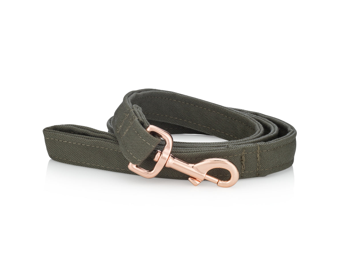 Eco-friendly dog leash made from recycled ocean plastic