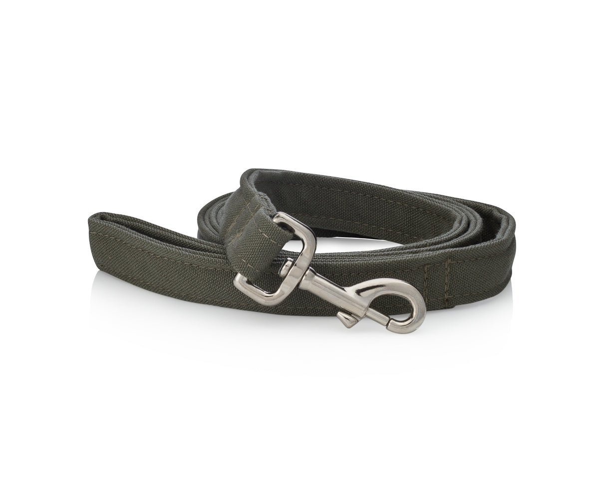 Eco-friendly dog leash made from recycled ocean plastic