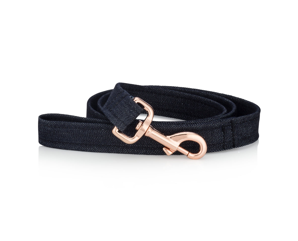 Eco-friendly dog leash made from recycled ocean plastic