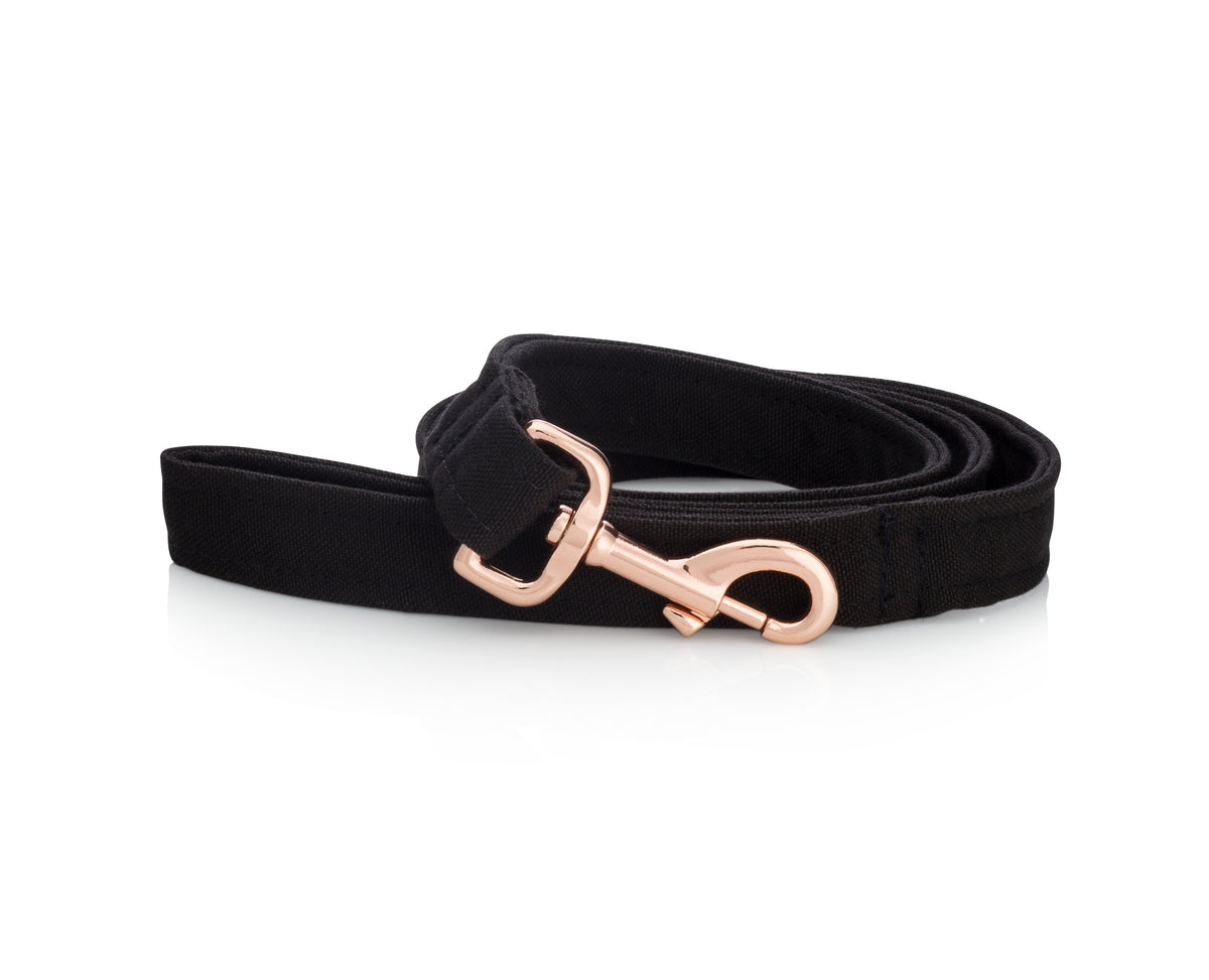 Eco-friendly dog leash made from recycled ocean plastic