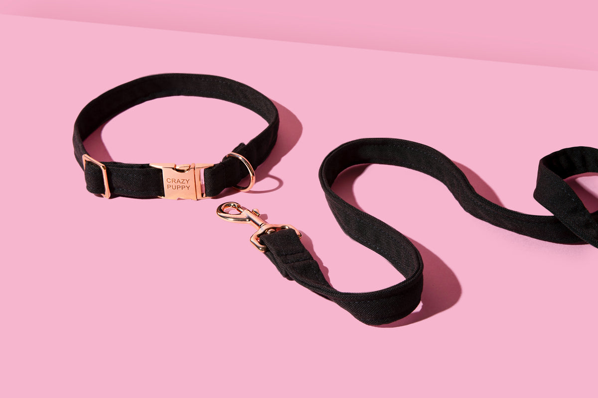Eco-friendly dog collar and leash made from recycled ocean plastic