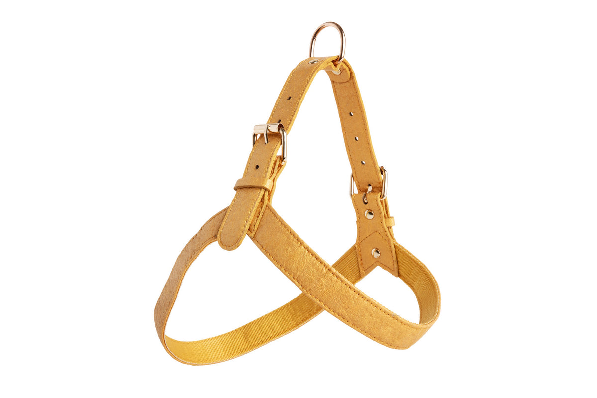 egan pineapple leather dog collar eco friendly