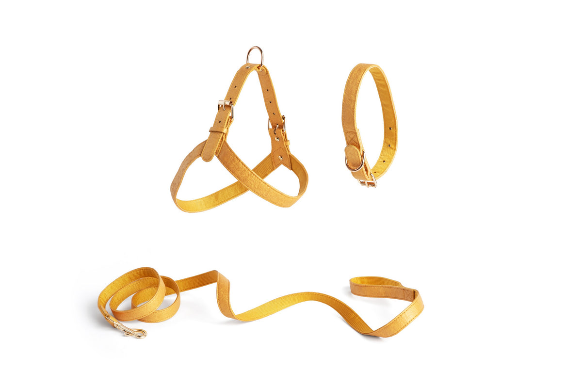 egan pineapple leather dog collar eco friendly