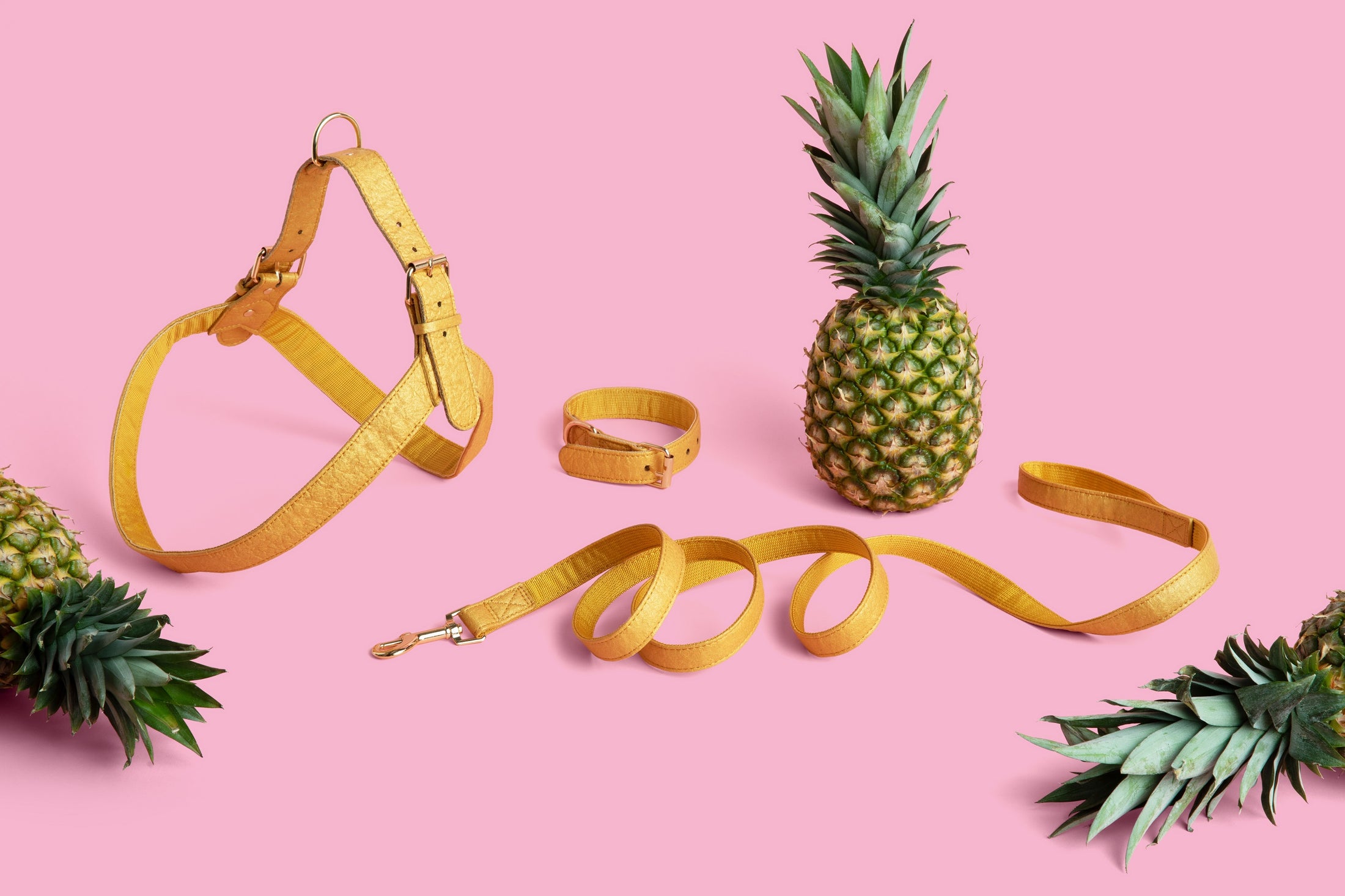 THE PINYA COLLECTION - WALK SET