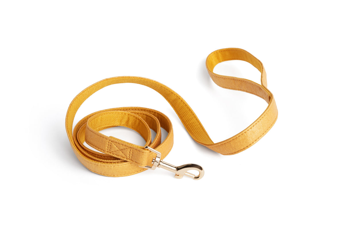 GOLD PIÑYA PINEAPPLE LEATHER DOG LEASH
