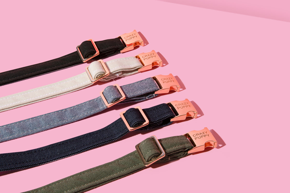 Eco-friendly dog collar made from recycled ocean plastic