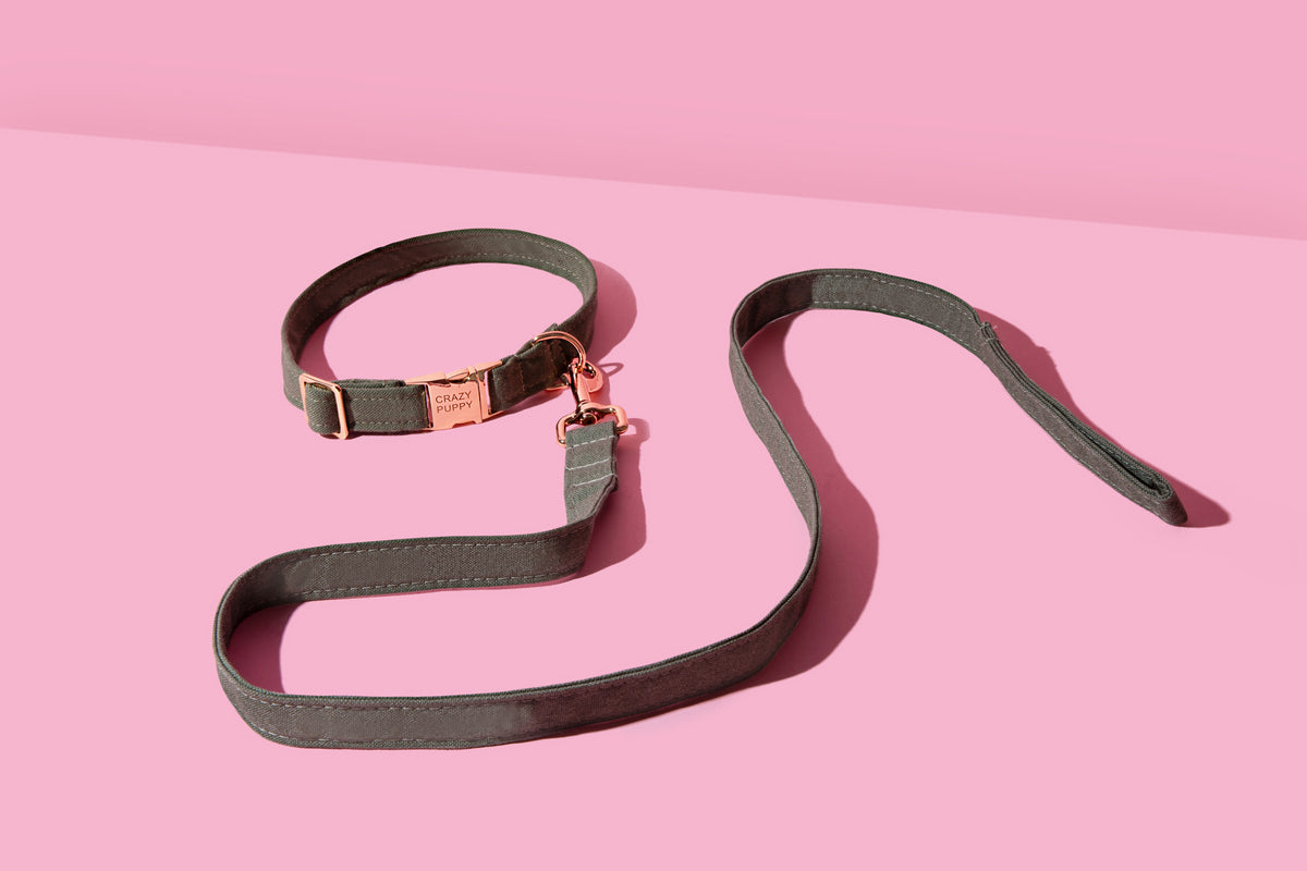 Eco-friendly dog collar and leash made from recycled ocean plastic