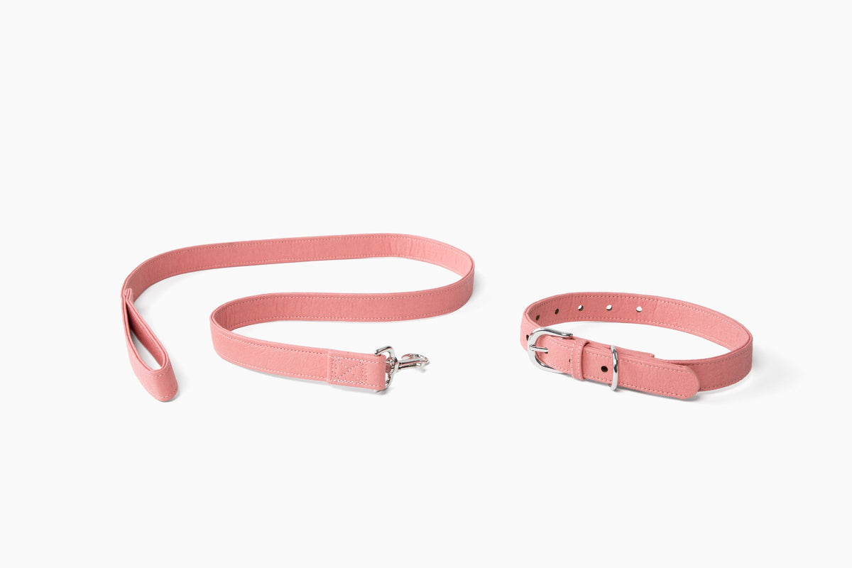 Pink Piñya pineapple leather dog collar and leash set in pink with silver hardware