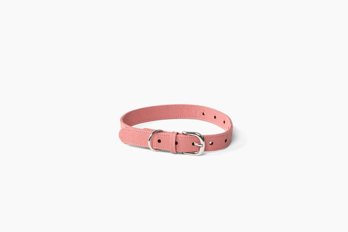 Pink Piñya pineapple leather dog collar in pink with silver hardware