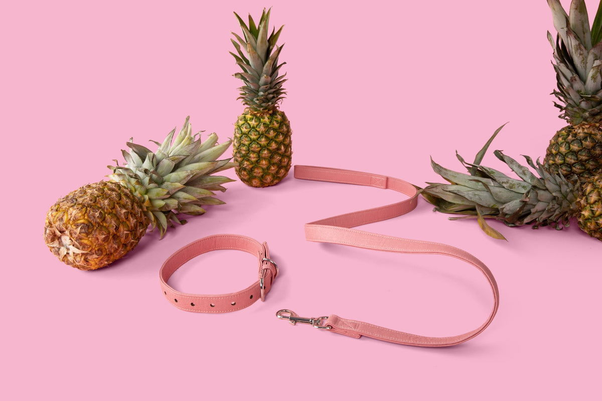 Pink Piñya pineapple leather dog collar and leash flat lay with pineapples