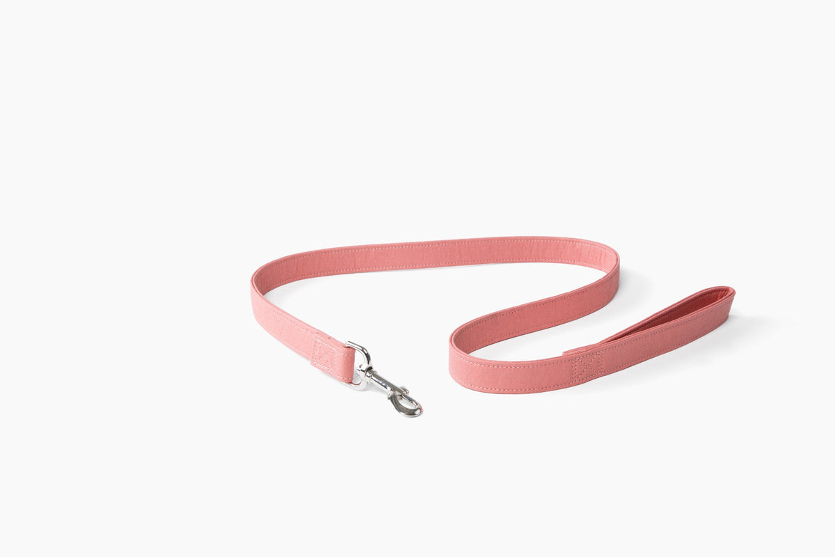 Pink Piñya pineapple leather dog leash in pink with silver hardware