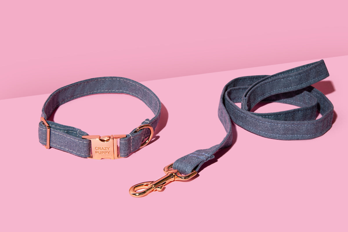 Eco-friendly dog collar  and leash made from recycled ocean plastic