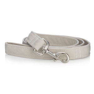 Off white dog collar