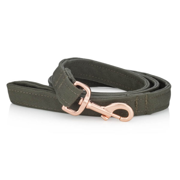 Canteen dog collar
