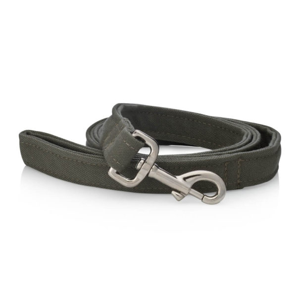 Canteen dog collar