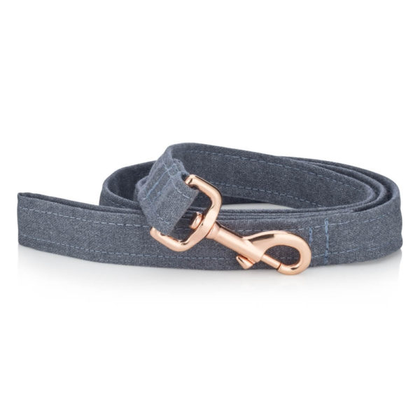 Rainy Day dog collar