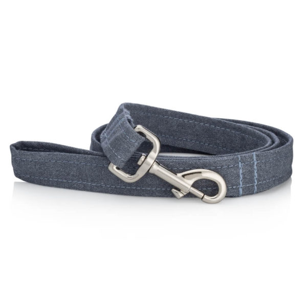 Rainy Day dog collar