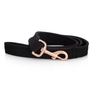 Jet black dog collar