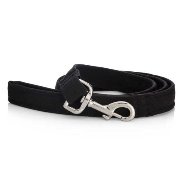 Jet black dog collar